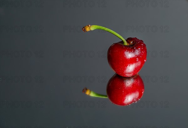 Fresh red summer cherries with water drops
