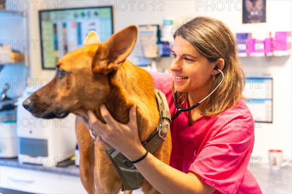 Veterinary clinic