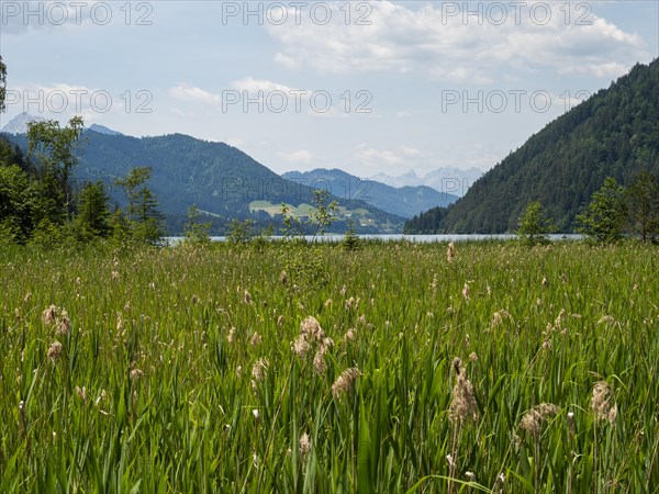 View of Lake Weissensee