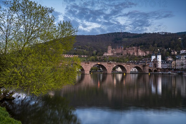 View of Heidelberg