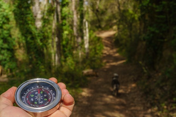 Compass with a trail and a dog in the background