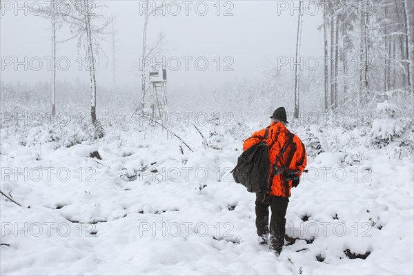 Hunters in safety clothing on the way to the raised hide in light fog