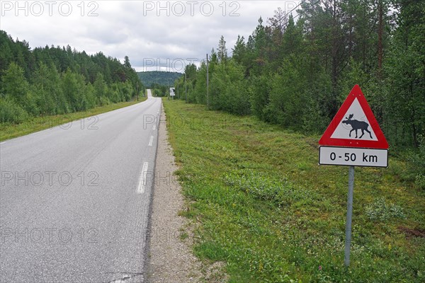 Sign warning of moose on a traffic-free road