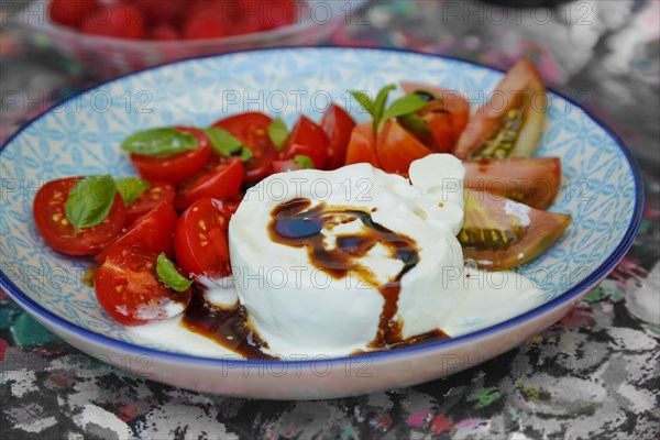 Tomatoes with basil and buffalo mozzarella