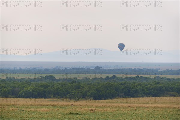 Savannah landscape with hot air balloon in the morning in fog