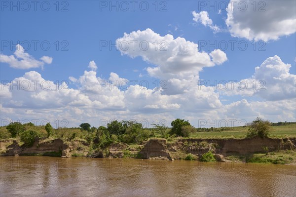 Savannah landscape with river