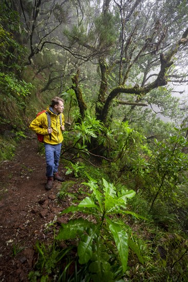 Hiker in dense forest