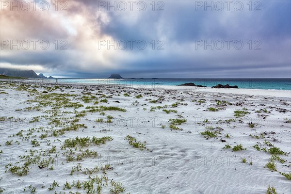 Wide empty natural beach