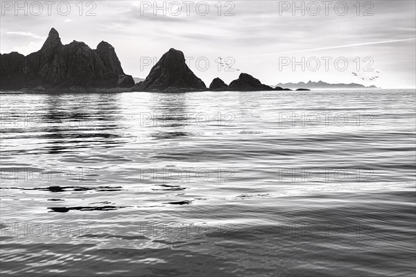 Rocky coast