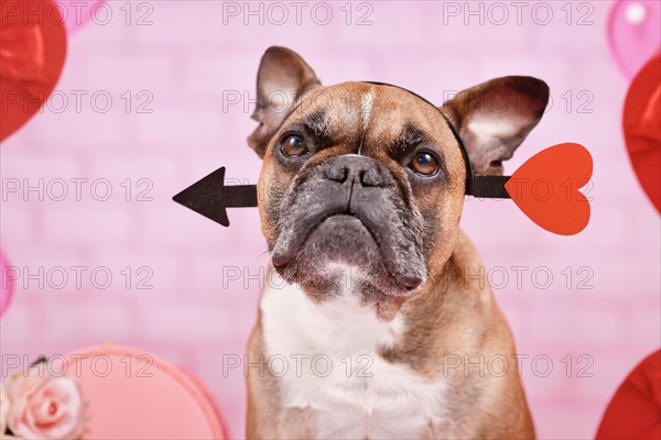 French Bulldog dog with Valentine's day love arrow headband on pink background