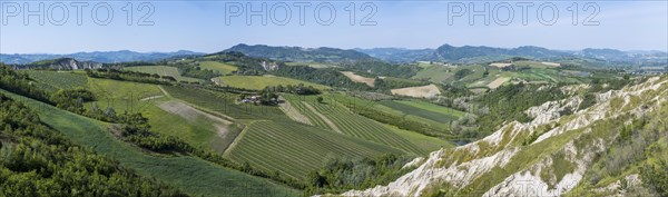 Hilly landscape with erosion valleys and vineyards