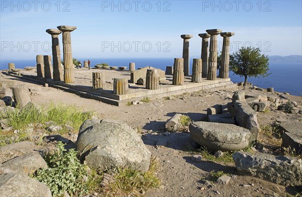 Doric columns from the Temple of Athena