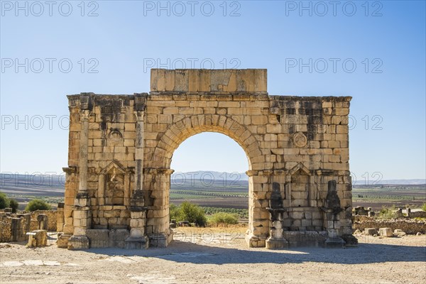 Well-preserved roman ruins in Volubilis