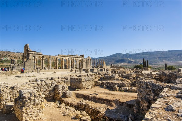 Well-preserved roman ruins in Volubilis