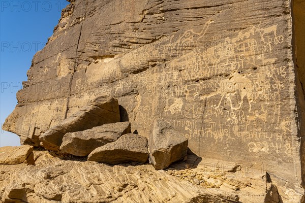 Rock carvings