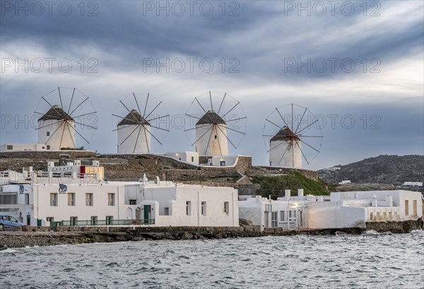 White Cycladic houses on the shore with windmills of Mykonos