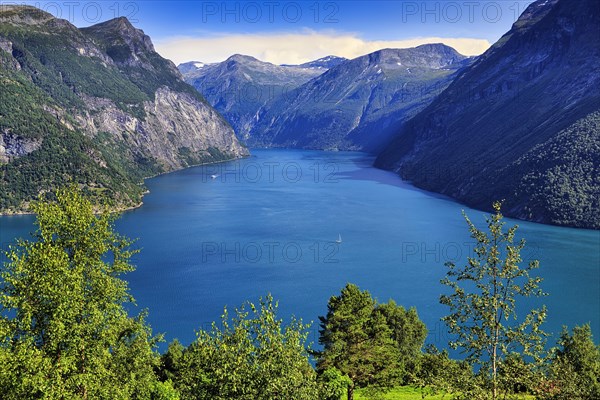 Fjord landscape in summer