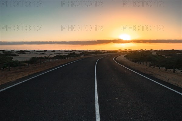 Empty asphalt road through the desert or dunes. Sunrise over the road