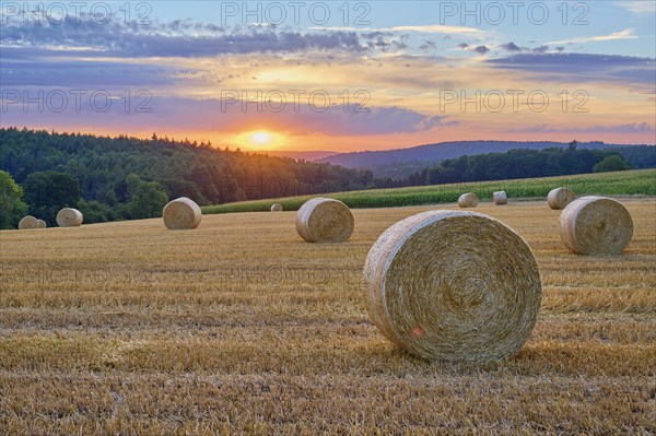 Landscape with hay field and straw bales at sunset