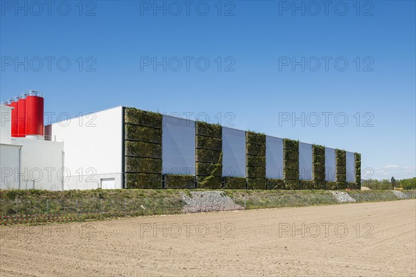 Greened factory facade