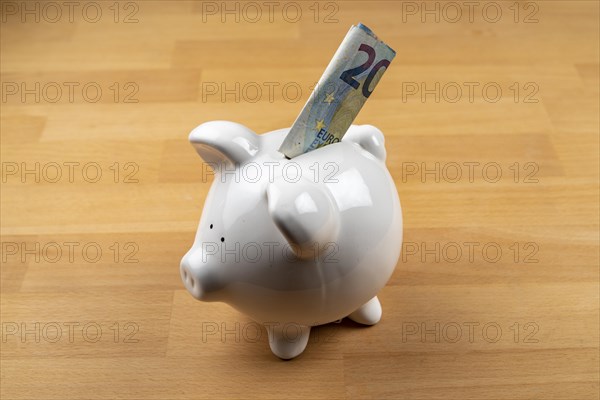 White piggy bank with 20 euro note