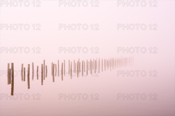 Anchor piles in the fog on autumnal Lake Duemmer