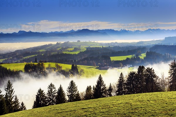 View from Blender near Kempten