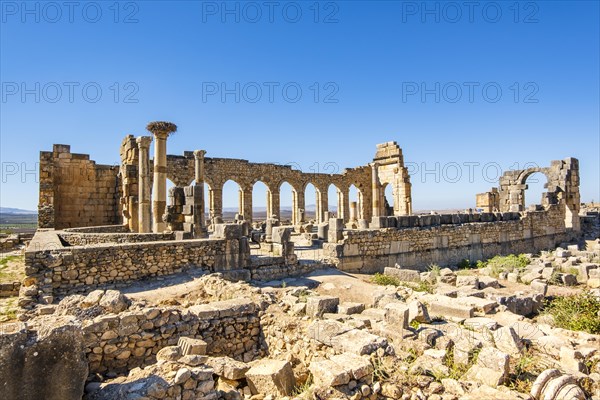 Well-preserved roman ruins in Volubilis