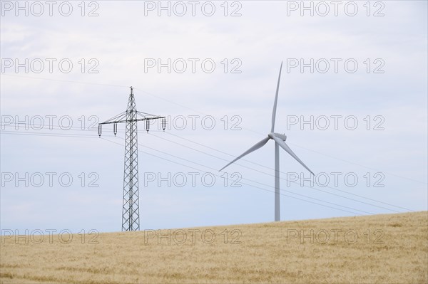 Grain field with electricity pole and Windturbine
