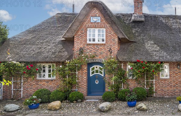 Thatched Frisian house