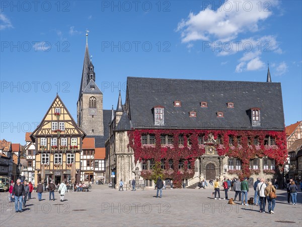 On the right historic town hall in red autumn leaves