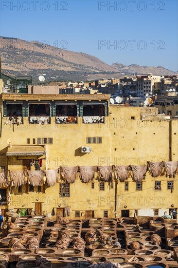 Famous skin tannery in Fes