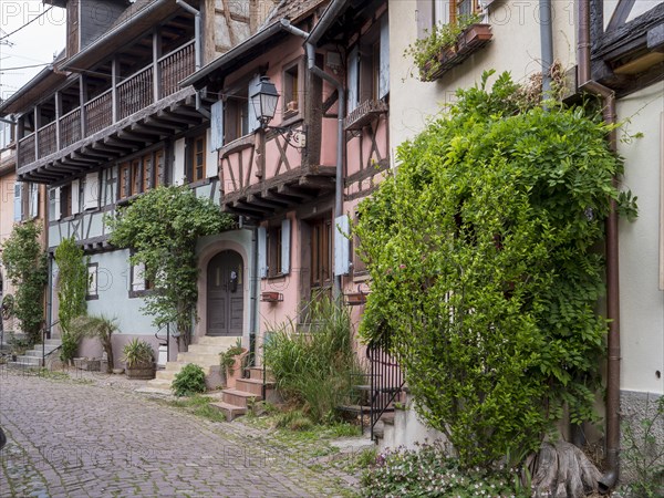 Colourful half-timbered houses in the centre of the old town