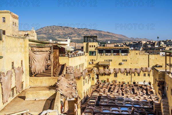 Famous skin tannery in Fes