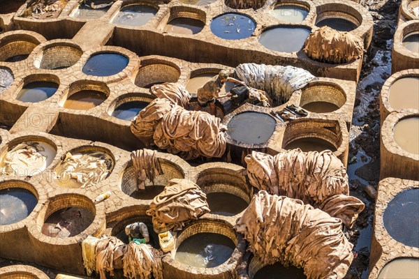 Famous skin tannery in Fes