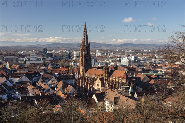 City view with cathedral