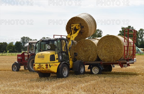 Round bales are loaded onto trailers with a wheel loader