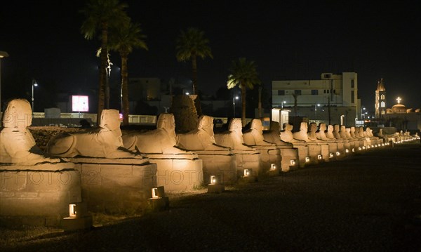 Sphinx Avenue between Karnak and Luxor Temple