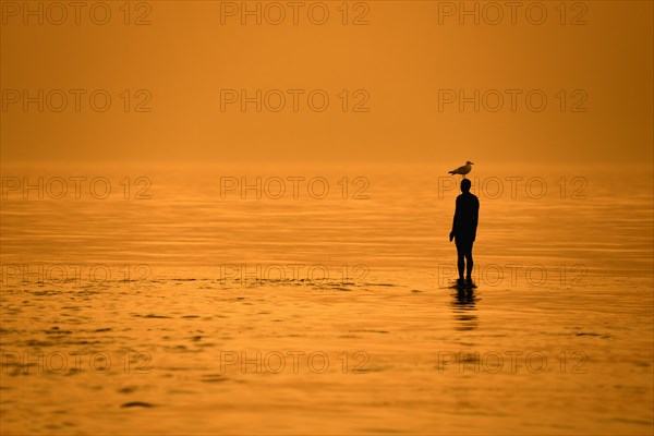 Sculpture Another Time XVI by Antony Gormley silhouetted against sunset along the North Sea coast at Knokke-Heist