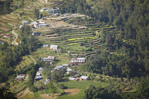 Terraced fields fields in Nagarkot