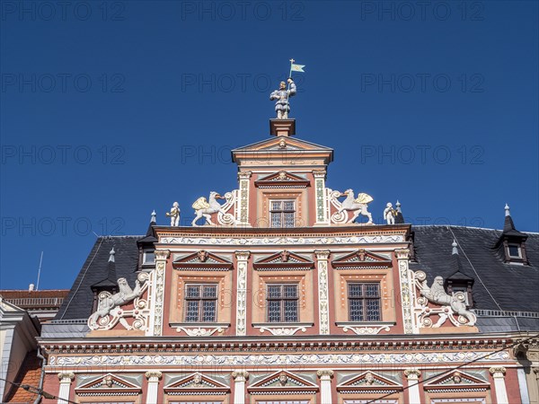 Detail Splendid facade decoration on the Haus zum Breiten Herd