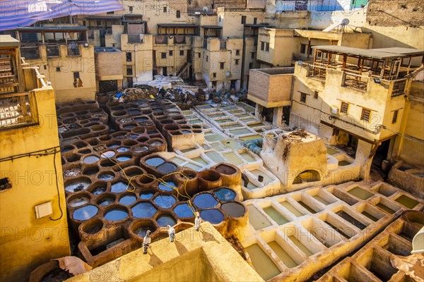 Famous tannery in sunny Fez