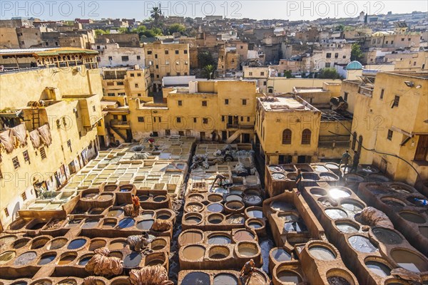 Famous skin tannery in Fes