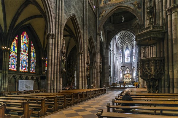 Freiburg Cathedral