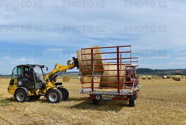 Round bales are loaded onto trailers with a wheel loader