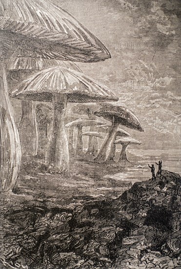 1864 book illustration showing giant mushrooms from science fiction novel Journey to the Center of the Earth by French writer