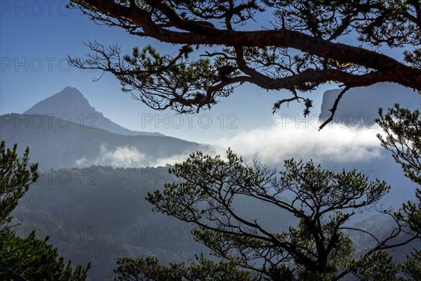 Parc naturel regional du Verdon