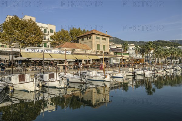 Fishing boats