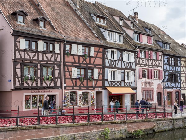 Half-timbered houses along the course of the Lauch in the district of La Petite Venise