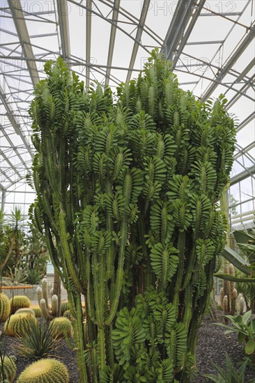 Glass plant house in the villa gardens by the lake